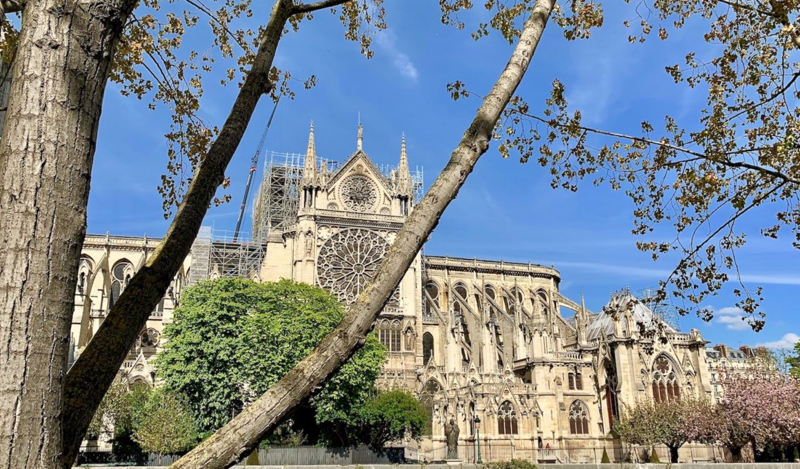 NOTRE DAME DE PARIS