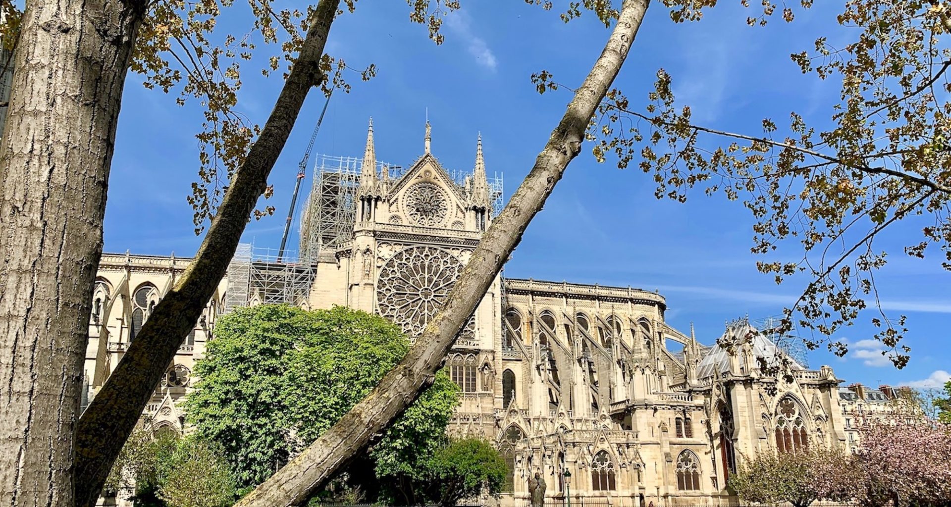 NOTRE DAME DE PARIS