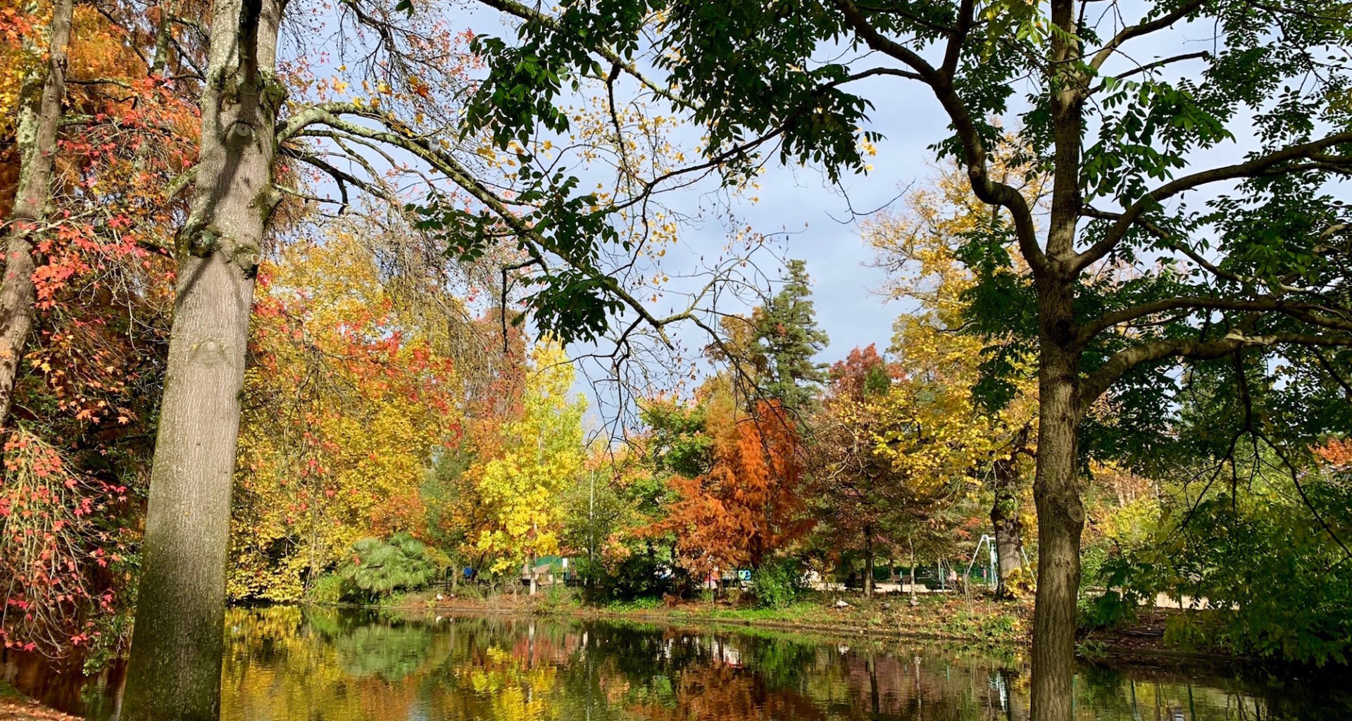 NOVEMBRE EN COULEUR