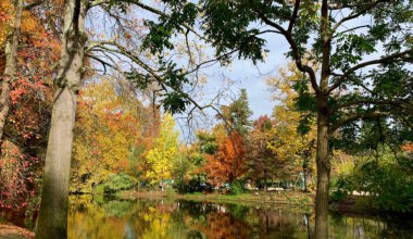 NOVEMBRE EN COULEUR