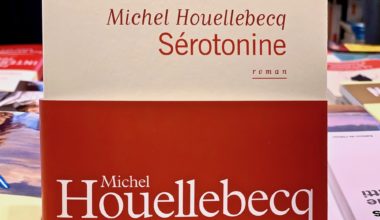 Houllebecq et Sérotonine synonyme de Soporifique